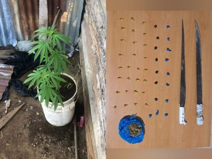 WhatsApp Image 2023-08-25 at 7.41.17 AM