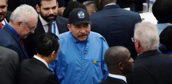 Ortega (1)