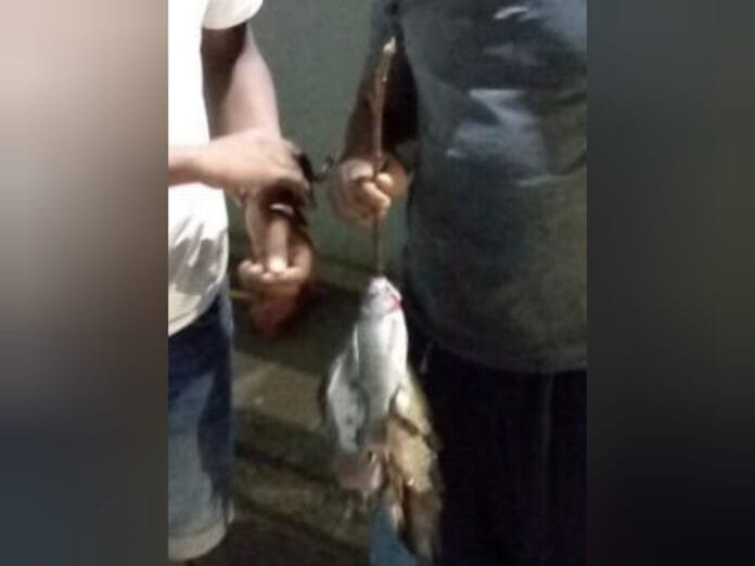 WhatsApp Image 2023-10-17 at 8.09.10 AM