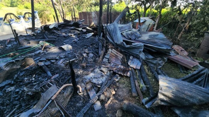 WhatsApp Image 2023-11-13 at 12.30.58 PM