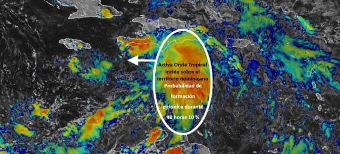 WhatsApp Image 2024-11-12 at 7.29.06 AM