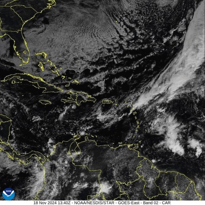 WhatsApp Image 2024-11-19 at 7.29.35 AM