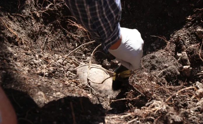 Muertes-en-Mexico-1140x694