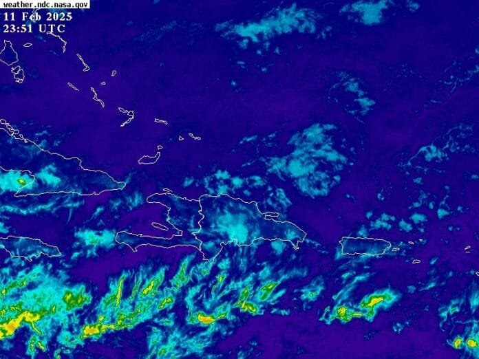 WhatsApp Image 2025-02-12 at 7.34.24 AM