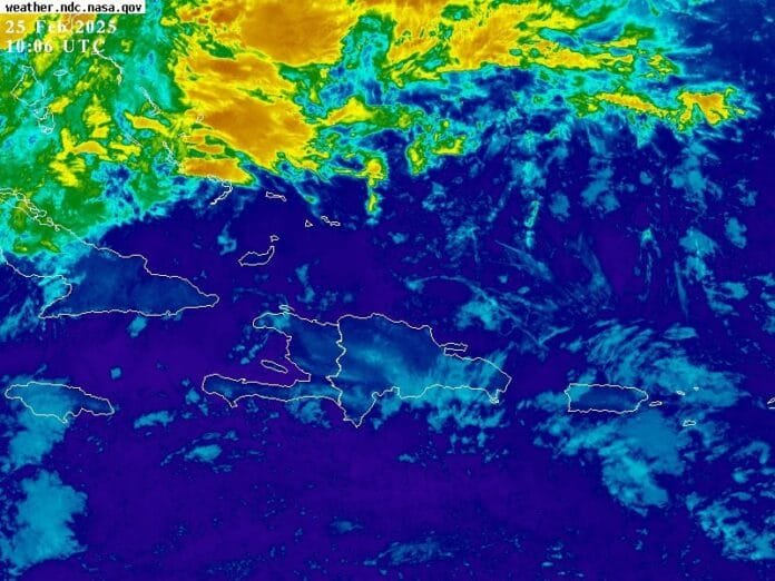 WhatsApp Image 2025-02-25 at 7.38.04 AM