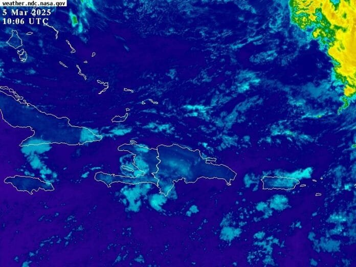 WhatsApp Image 2025-03-05 at 7.38.08 AM