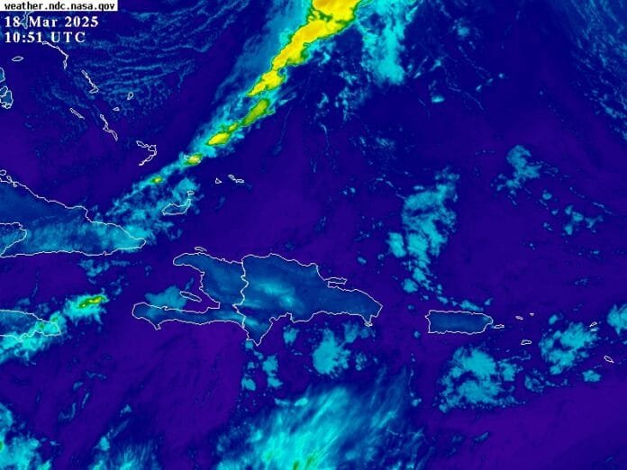 WhatsApp Image 2025-03-18 at 7.44.37 AM