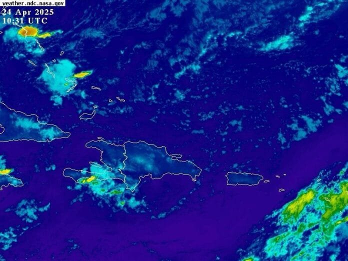 WhatsApp Image 2025-04-25 at 7.39.11 AM