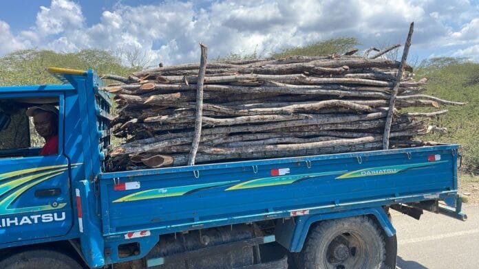 WhatsApp Image 2025-07-30 at 8.08.57 AM