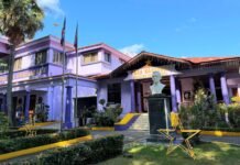 PLD analizará implementación línea organizativa y electoral