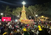 ADN enciende el árbol de Navidad en la Plaza Santo Domingo