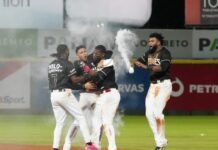 Junior Lake conecta hit del triunfo para Leones que deja en el terreno a los Gigantes