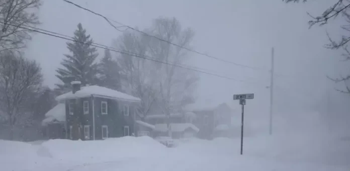 Plantilla de Bimary - 2026-01-22T200604.573