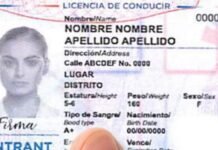 Siete cosas que debes saber de la nueva licencia de conducir
