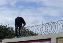 Reinician trabajos de remozamiento en la escuela Elvira Altagracia Coronel en Maizal, Esperanza