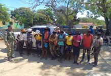 Migración recibe del SENPA 378 haitianos apresados cometiendo delitos medioambientales