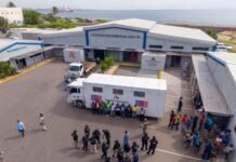 DGM informa que operativo migratorio ejecutado en Los Mina culmina con detención de 454 indocumentados