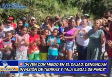 “Viven con miedo en El Dajao: denuncian invasión de tierras y tala ilegal de pinos”