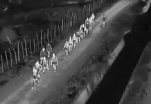 Ejército localiza y detiene grupo de 15 haitianos indocumentados en Dajabón