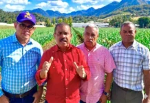PLD pide al Gobierno pagar deudas a productores e impulsar siembra de ajo en Constanza