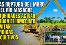 VIDEO: Tras ruptura del muro en el río Masacre, autoridades actúan de inmediato y evitan perdidas de cultivos