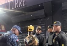 DGM detiene 962 y deporta 852 extranjeros indocumentados: Arrestan 261 en Regiones Metropolitanas y Este del país