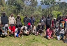 Ejército intercepta grupo de 36 haitianos indocumentados en zona montañosa de Santiago Rodríguez