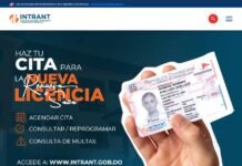 Intrant habilita herramienta de citas en línea para tramitar nueva licencia de conducir