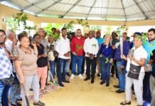 Agricultores reciben 60 mil plantulas de café y herramientas de labranza en Azua