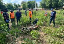 Investigan hallazgo de hombre sin vida en el Río Yaque del Norte en Castañuelas; presumen ahogamiento