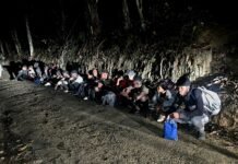 Patrulla del Ejército detiene a 19 haitianos indocumentados durante operativo en Loma de Cabrera