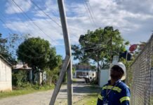 Edeeste aclara muerte de yegua en Sabana Grande de Boyá se debió a conexión ilegal