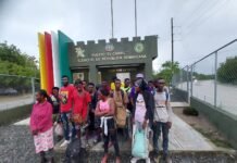 Ejército detiene minibús con 21 indocumentados en San Juan de la Maguana