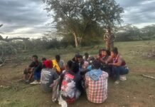 Patrulla del Ejército detiene a 24 indocumentados en zona boscosa de Montecristi